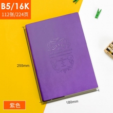 B5/16K A16-872紫色