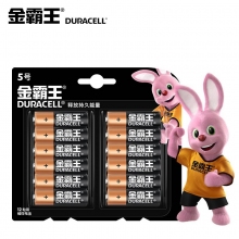 金霸王(Duracell)5号碱性电池 五号干电池