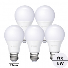 E27大螺口5W白光