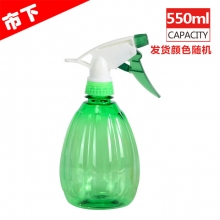 市下550ml SX-217透明浇花喷壶小喷水壶 园艺家用洒水壶气压式喷雾器 小型压力浇水喷雾瓶