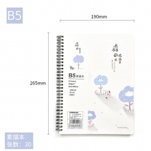 B5/16K-038(30张160克)