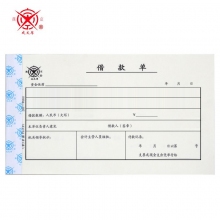 成文厚D304-107增票版借款单14*24厘米 5本装
