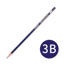 3B 12支装