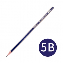 5B 12支装