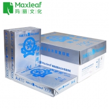 玛丽(Maxleaf)70g A4银极速复印纸 高速不卡纸打印纸 500张/包*5包