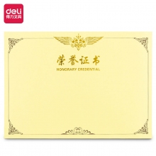 得力(deli)3231 8K(341*241mm)荣誉证书内芯纸替换芯 50张/包